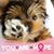 Nancy Shenk's profile image