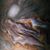 Shane Blamires's profile image