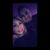 Veronica Jauregui Esparza's profile image