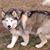 Rick Johnson's profile image