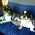 Gary Charmian Blaylock's profile image