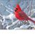 Nancy Kelley Turner's profile image
