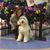 Sheri Turner Shaw's profile image