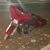 Terrance Branche's profile image