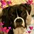 Kim Bischoff-Waugus's profile image
