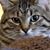 Linda Belue Ellis's profile image