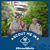 Julie Olson's profile image