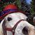 Lisa Koch's profile image