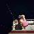 Erika Elfstrom's profile image