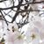 Eri Saenz's profile image