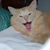 Jean Burks's profile image