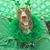 Lois Trochimczuk-Delbert's profile image