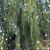 Nancy K. Sorensen's profile image