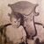 Doris Burger's profile image