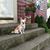 Maryann Vacca's profile image