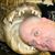 Robert Craymer's profile image