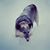 Heather Jacobs's profile image