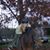 Laurie Schlam's profile image