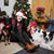 Kaylee Jane Krull's profile image