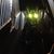 Nitro Delaney's profile image