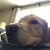 Ruth Freeborn's profile image