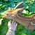 Deb Kile's profile image