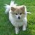 Donna Rae McIntosh's profile image
