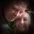 Angie Egan's profile image