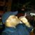 Raymond L Williams Jr.'s profile image
