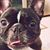 Richard Terek's profile image