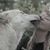 Tina Pirrmann-Smith's profile image