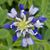 Michele E. McEntire's profile image