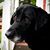 Kristie D Mugerauer's profile image