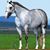 Alvaro Tovar's profile image
