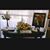 Maribel Ayala's profile image