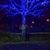 Billi Orr Willauer's profile image