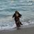 Debra L Wright's profile image