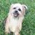 Doris Tillman's profile image