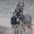 Linda Adams's profile image