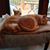 Erika Baier Blansfield's profile image