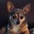 Kimberly Smith Miller's profile image