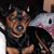 Tara Lynn Calhoun-Ekunfeo's profile image