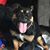 Leanne Tollefson's profile image