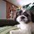 Brian J Murray's profile image