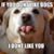 Gail Gollahon Swart's profile image