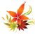 Mary Ann O'Connell's profile image
