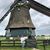Pam Dreyer Betine's profile image