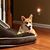Kelly Mihara-Meyer's profile image