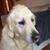 Andrew Chetwynd's profile image