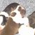 Davina Tanner's profile image